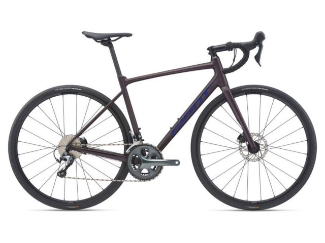 Brame Sports - COURSE GIANT Contend SL2 Disc